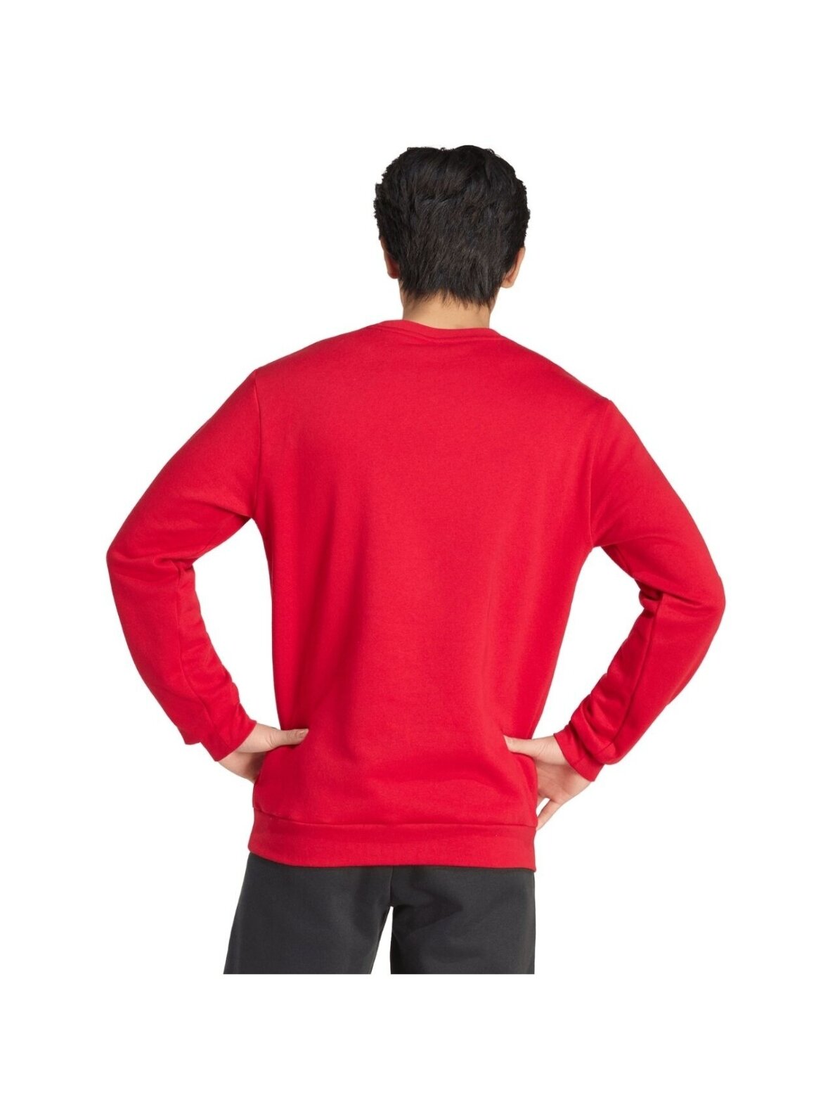 Adidas Entrada 26 Sweat Top vyrams raudona JZ6575 4