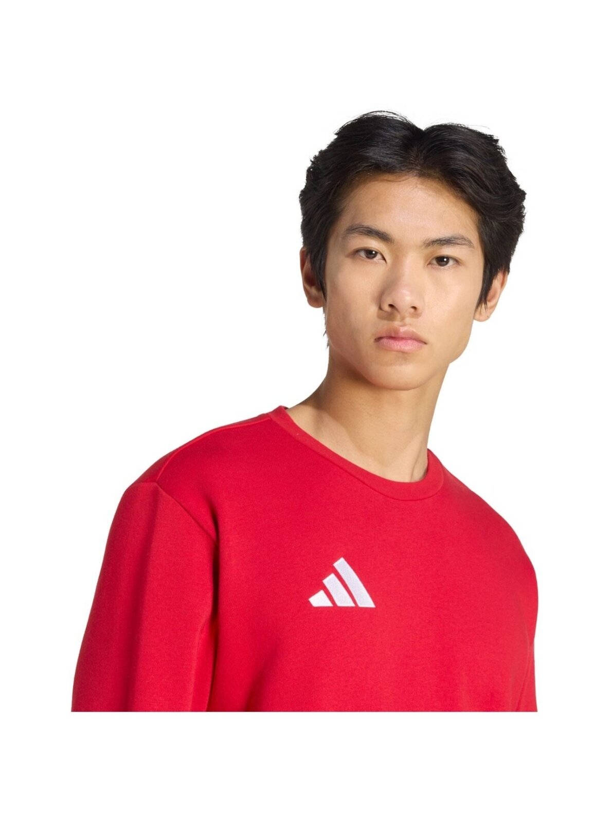 Adidas Entrada 26 Sweat Top vyrams raudona JZ6575 5