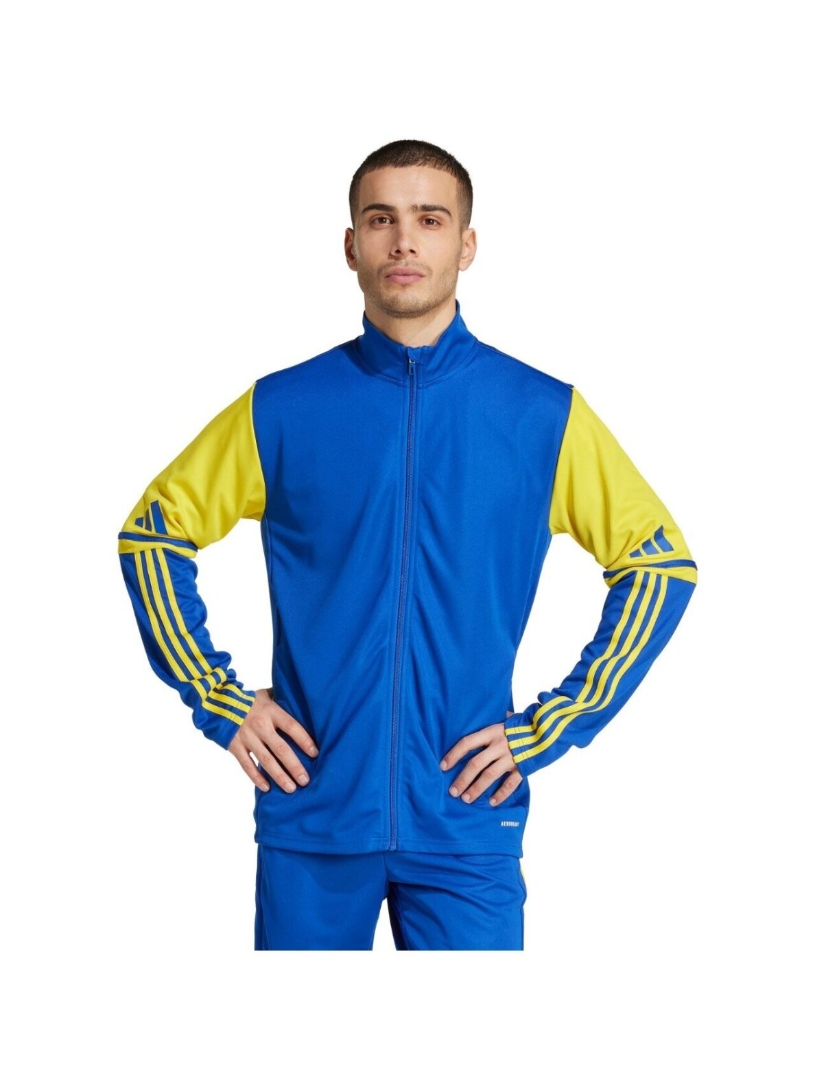 adidas Squadra 25 Training vyrams mėlyna-geltona džemperis JP3153 4 adidas Squadra 25 Training vyrams mėlyna-geltona džemperis JP3153 4