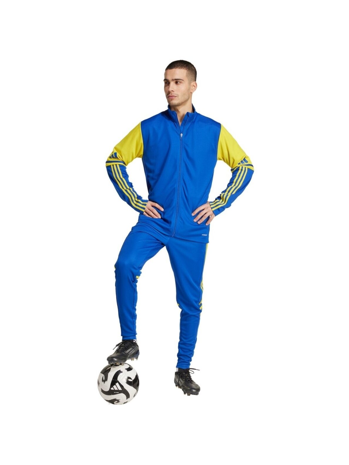 adidas Squadra 25 Training vyrams mėlyna-geltona džemperis JP3153 5