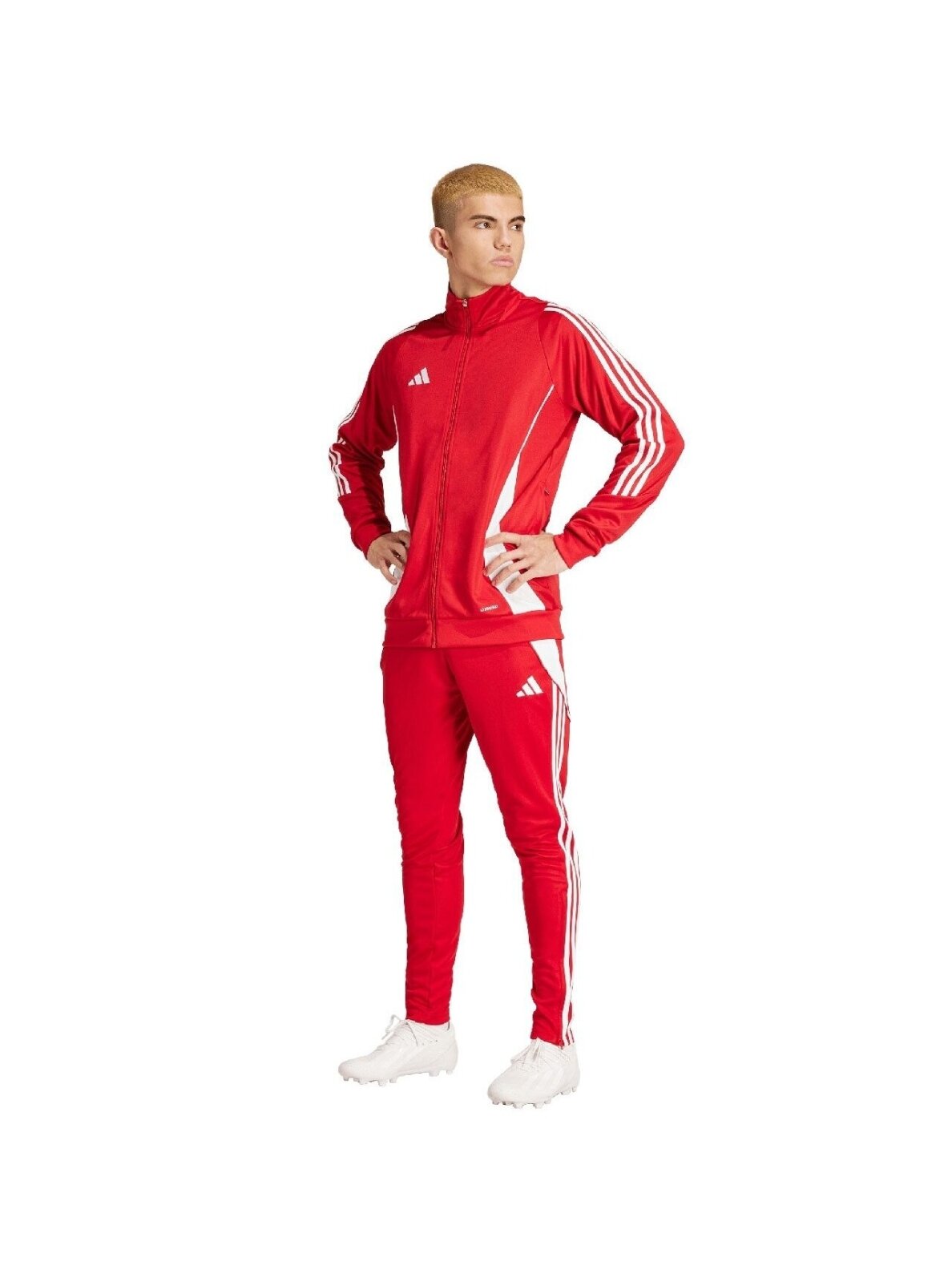 Adidas Tiro 24 Training vyriškas džemperis raudonas IR7499 6