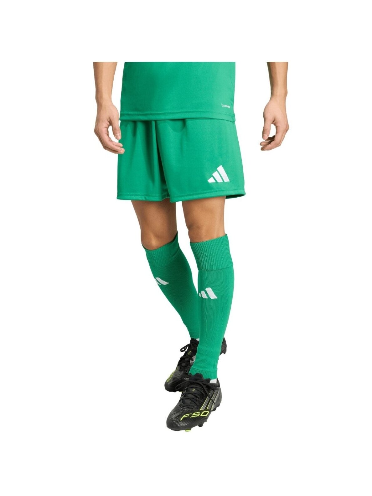 Adidas vyriški šortai Entrada 26 žali JZ2519 1