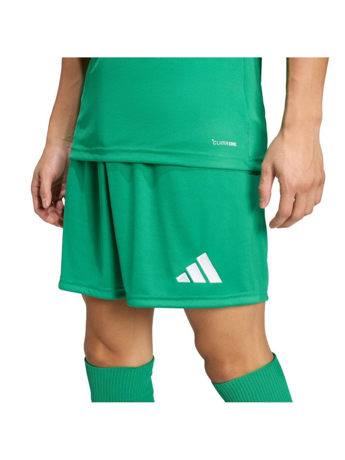 Adidas vyriški šortai Entrada 26 žali JZ2519 4