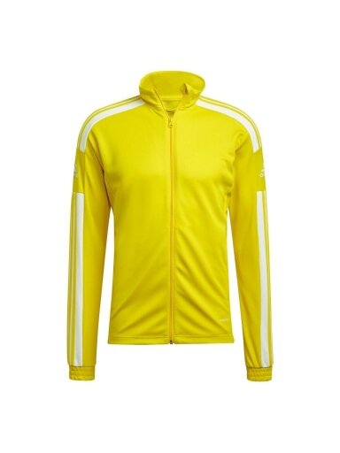 Adidas Squadra 21 Training vyriški džemperiai geltoni GP6465