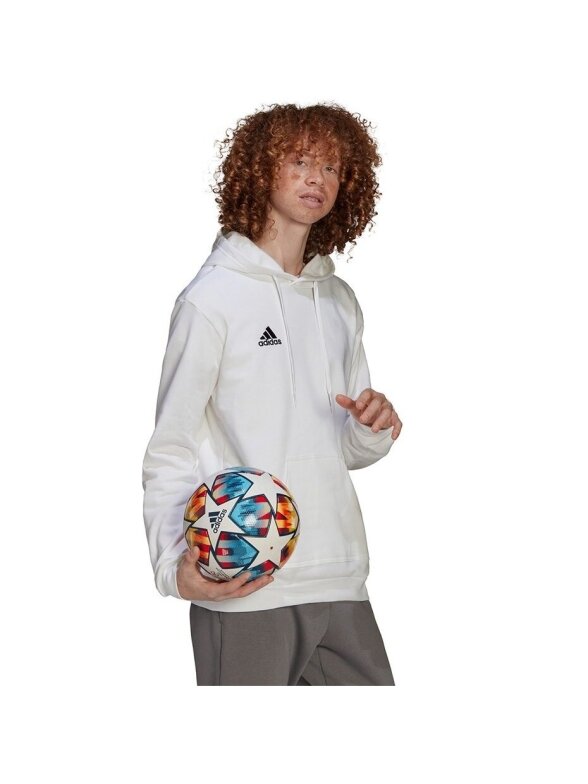 Adidas Entrada 22 Hoody vyriškas džemperis, baltas HG6302