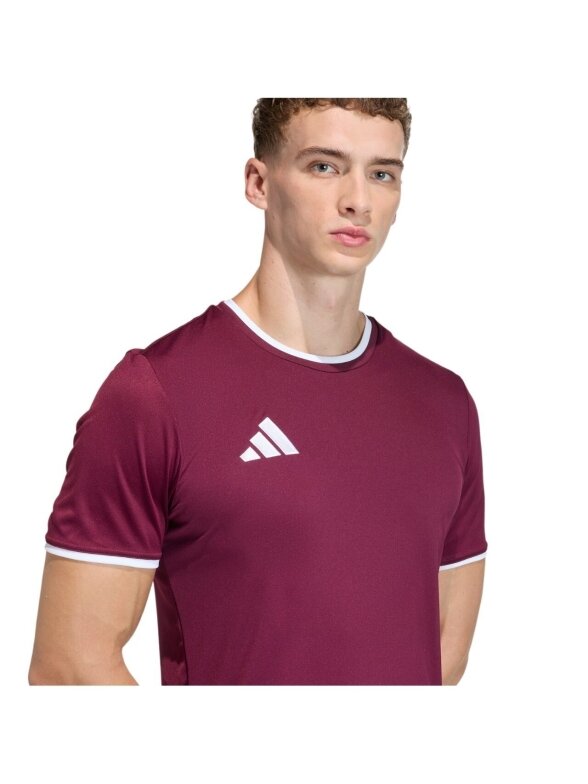 Adidas Entrada 26 Jersey marškinėliai vyrams bordo JZ2507 6
