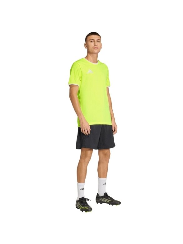 Adidas Entrada 26 Jersey vyrams limonkowa KE9840 6