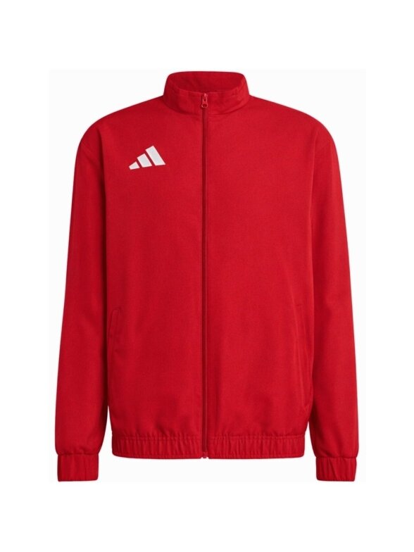 adidas Entrada 26 Presentation vyrams raudona JZ6622 adidas Entrada 26 Presentation vyrams raudona JZ6622