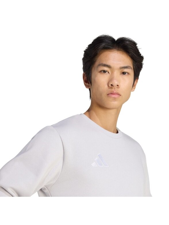 Adidas Entrada 26 Sweat Top džemperis vyrams pilkas JZ6572 2