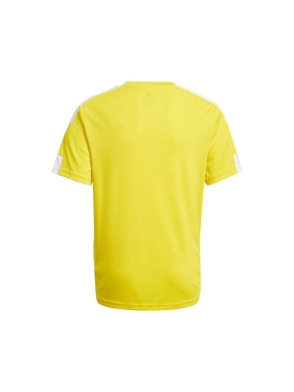 Adidas Squadra 21 Jersey Jaunimo marškinėliai, geltoni GN5744 1