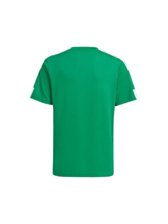 Adidas Squadra 21 Jersey Jaunimo marškinėliai, žali GN5743 1
