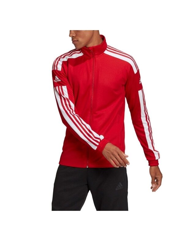 Adidas Squadra 21 Training vyriškas džemperis raudonas GP6464 1