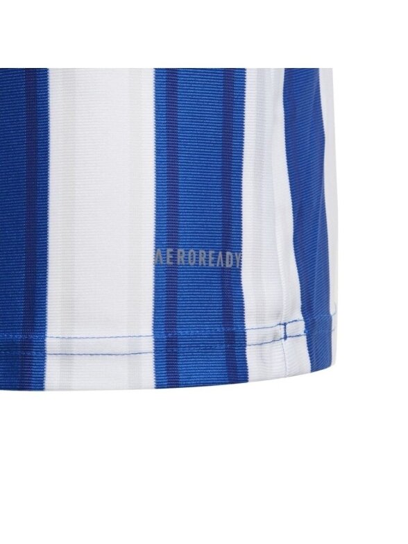 Adidas Striped 21 Jersey jaunimo marškinėliai, balti ir mėlyni GH7323 3