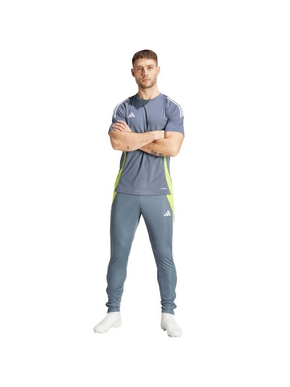 Adidas Tiro 24 Training vyriškos kelnės pilkos spalvos IV6945 4