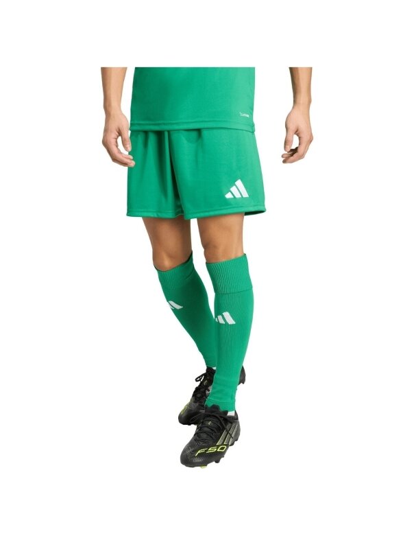 Adidas vyriški šortai Entrada 26 žali JZ2519 1