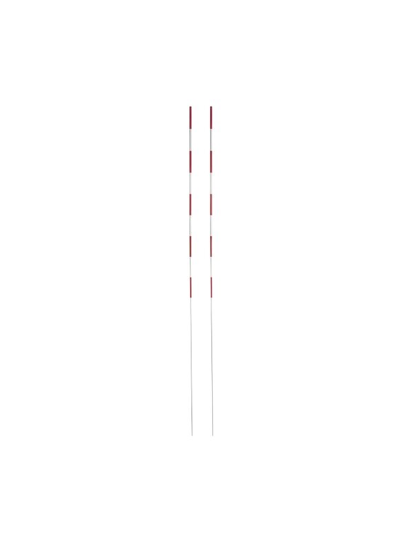 Netex tinklinio antenėlės 2 vnt. Netex tinklinio antenėlės 2 vnt.