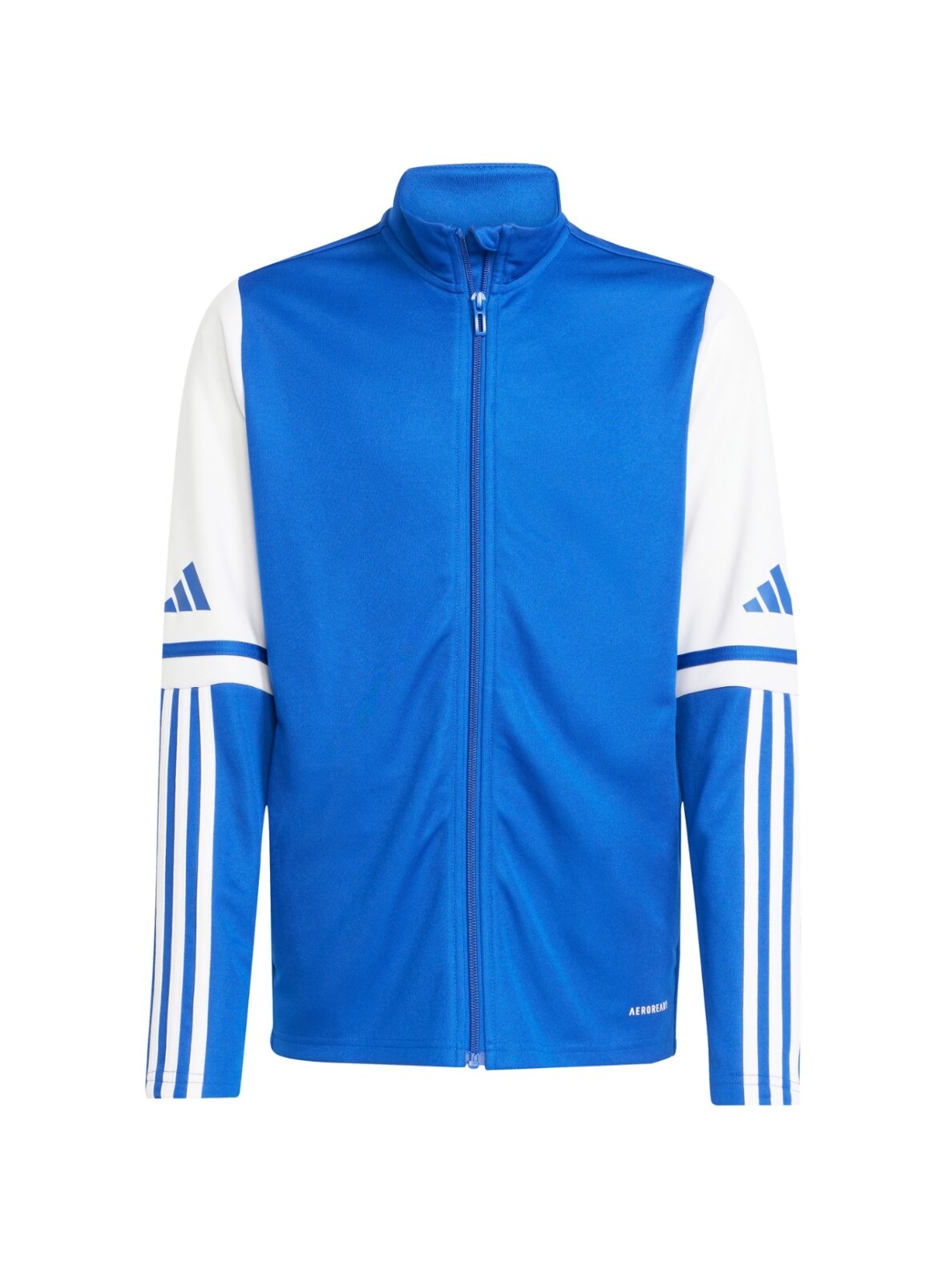 Adidas Squadra 25 Training vaikiška džemperis mėlyna-balta JD4798 1 Adidas Squadra 25 Training vaikiška džemperis mėlyna-balta JD4798 1