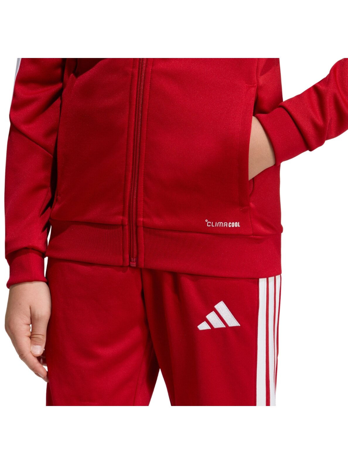 Adidas Tiro 26 League Training džemperis vaikams raudonas JY7200 6 Adidas Tiro 26 League Training džemperis vaikams raudonas JY7200 6