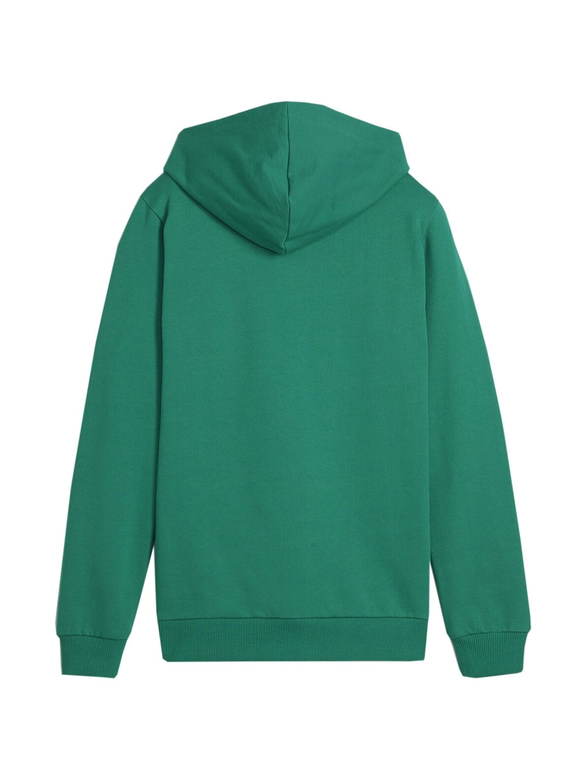 Puma Team Goal Casuals Hoddy vaikiškas džemperis žalias 658619 05 2 Puma Team Goal Casuals Hoddy vaikiškas džemperis žalias 658619 05 2