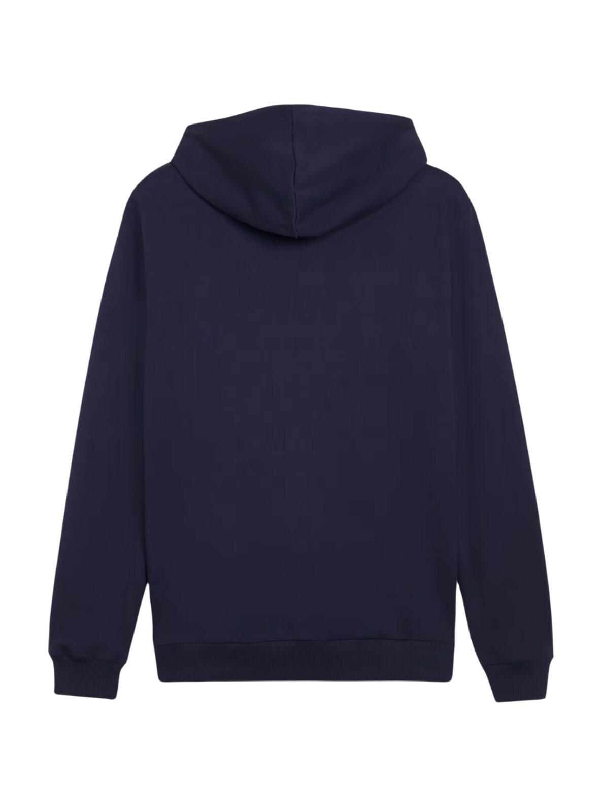 Puma teamGoal Casuals Hooded vaikams tamsiai mėlyna 658596 06 1