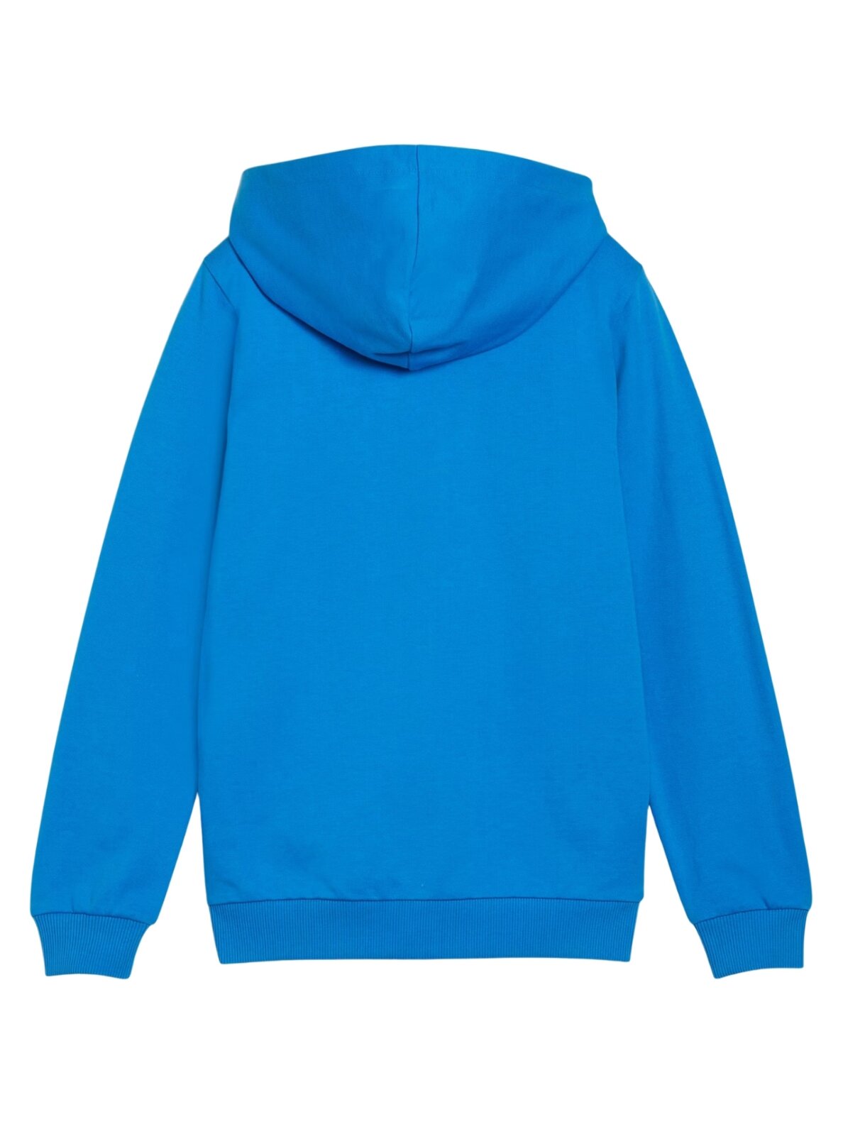 Puma teamGoal Casuals Hooded vaikams mėlyna 658596 02 1