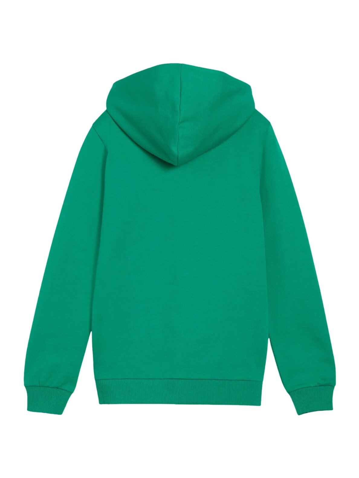 Puma teamGoal Casuals Hooded vaikams žalia 658596 05 1 Puma teamGoal Casuals Hooded vaikams žalia 658596 05 1