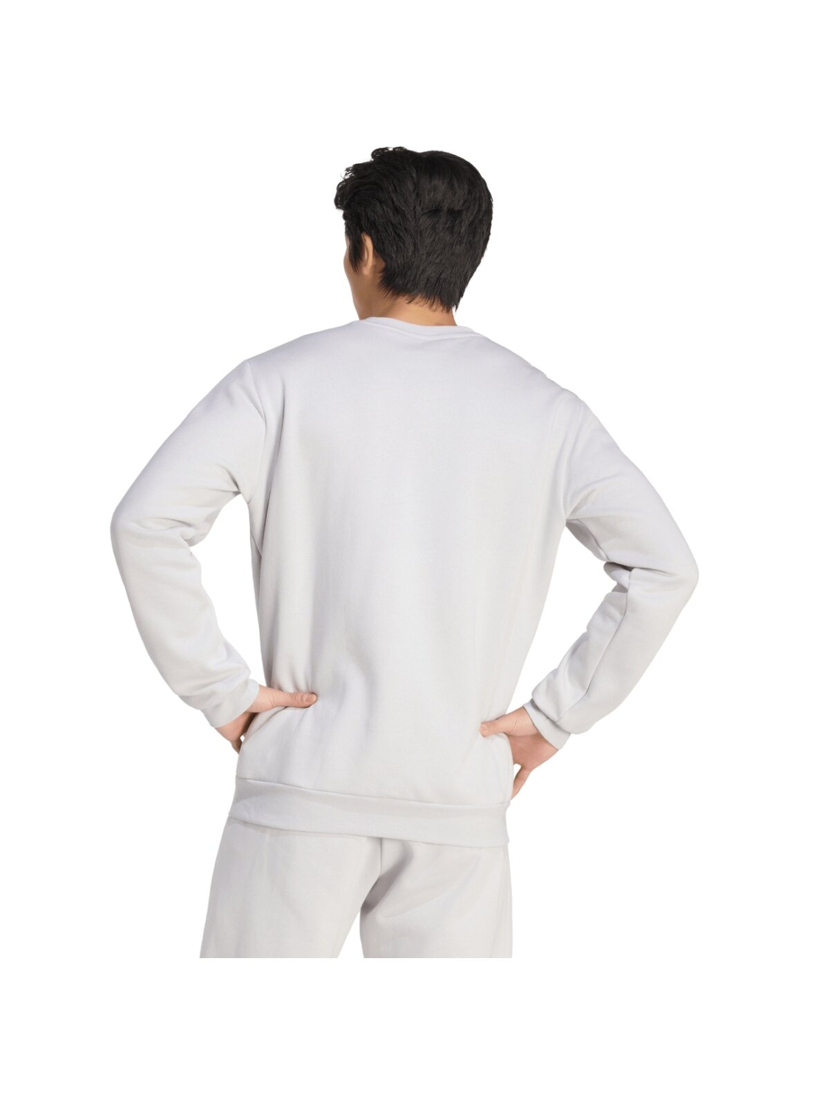 Adidas Entrada 26 Sweat Top džemperis vyrams pilkas JZ6572 2