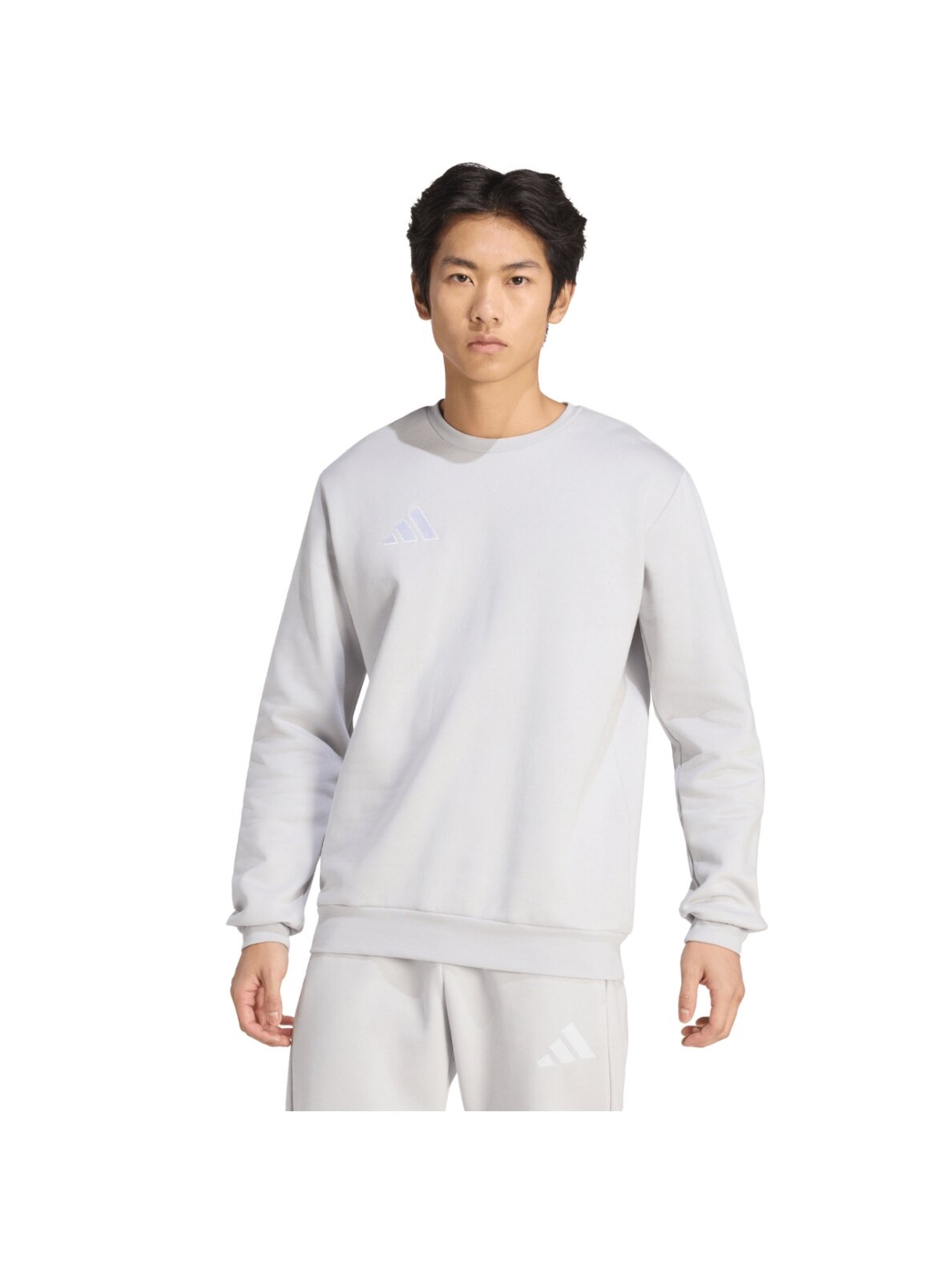 Adidas Entrada 26 Sweat Top džemperis vyrams pilkas JZ6572