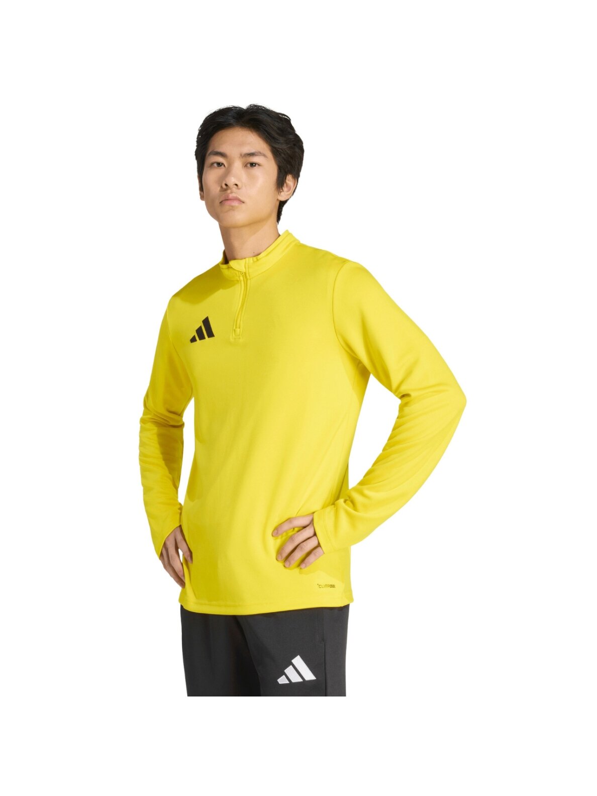 Adidas Entrada 26 Training Top džemperis vyrams geltonas JZ6657