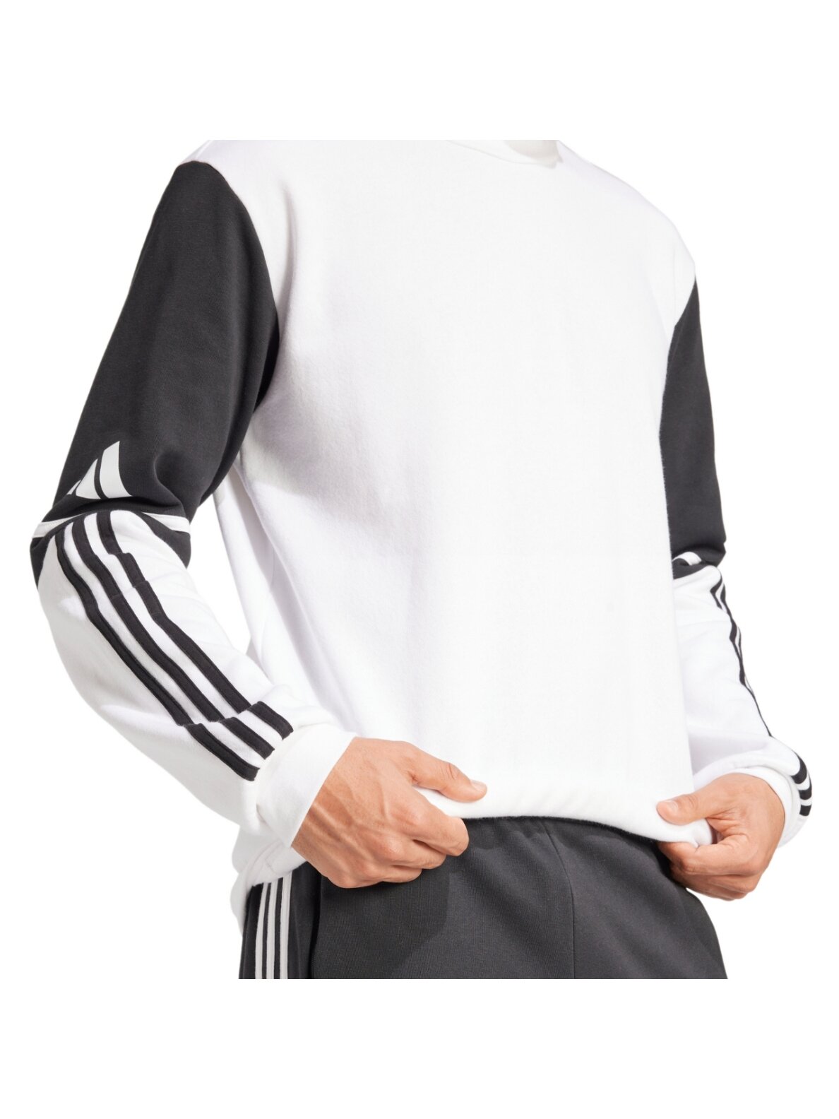 adidas Squadra 25 Sweat Crew vyriška džemperis balta-juoda JD2959 5