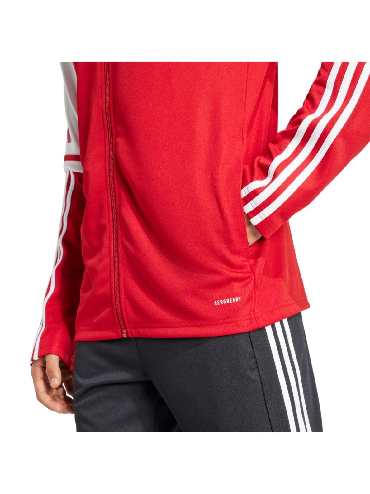 adidas Squadra 25 Training vyriška džemperis raudona-balta JD2979 7