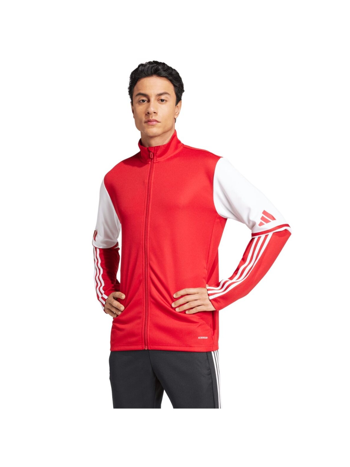 adidas Squadra 25 Training vyriška džemperis raudona-balta JD2979