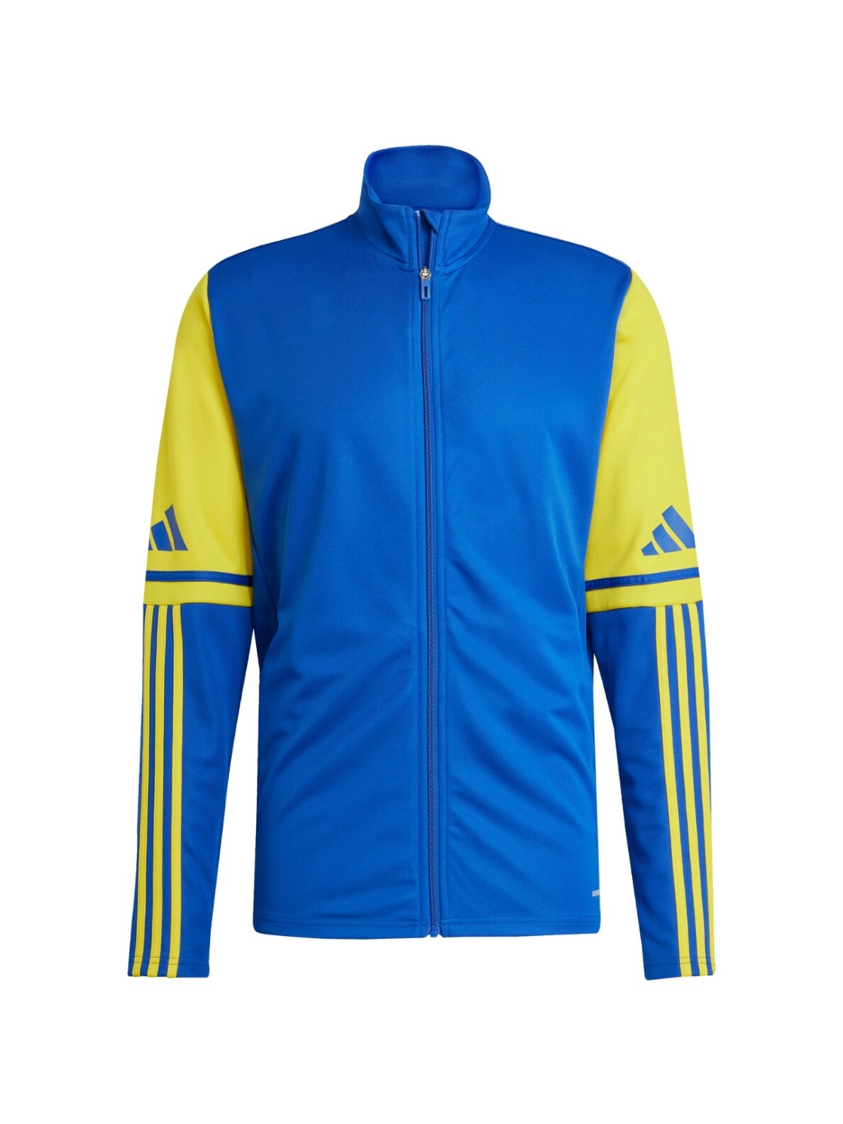 adidas Squadra 25 Training vyrams mėlyna-geltona džemperis JP3153 adidas Squadra 25 Training vyrams mėlyna-geltona džemperis JP3153