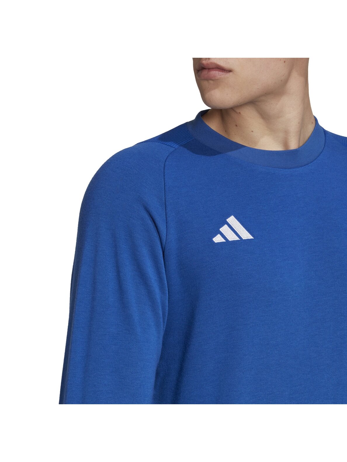 Vyriški džemperiai adidas Tiro 23 Competition Crew mėlyni HU1325