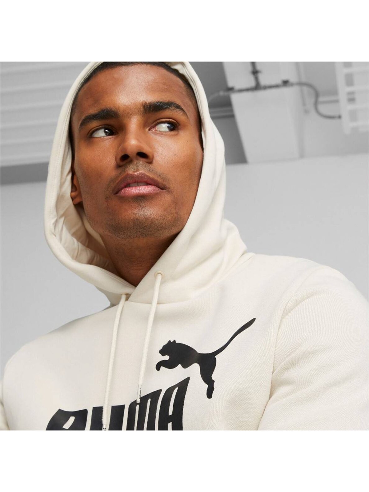 Vyriškas džemperis Puma ESS Big Logo Hoodie FL (s) Vakarinis kremas 586687 87 3