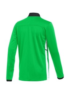 Nike Dri-Fit Academy 25 Track Jacket vaikams žalia FZ9836 329