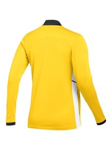 Nike Dri-Fit Academy 25 Track Jacket vyrams geltona FZ9824 719