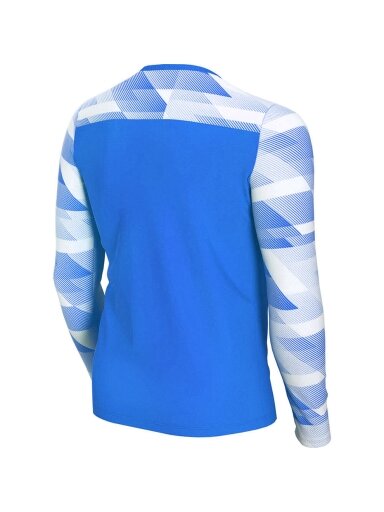 Džemperis vartininkas vaikams Nike Dry Park IV JSY LS GK JUNIOR mėlynas CJ6072 463