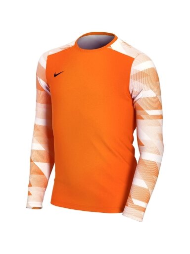 Vaikiški vartininko džemperis Nike Dry Park IV JSY LS GK JUNIOR oranžinis CJ6072 819
