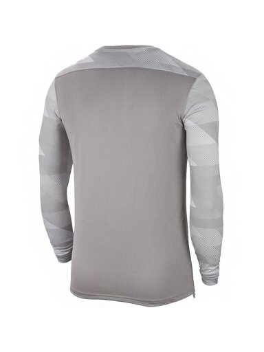Vaikiški vartininko džemperiai Nike Dry Park IV JSY LS GK JUNIOR pilka CJ6072 052