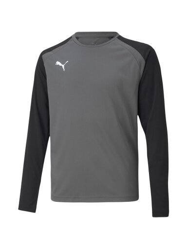 Vaikiški stebėjimo džemperiai Puma teamPACER GK LS Jersey ball 704939 43