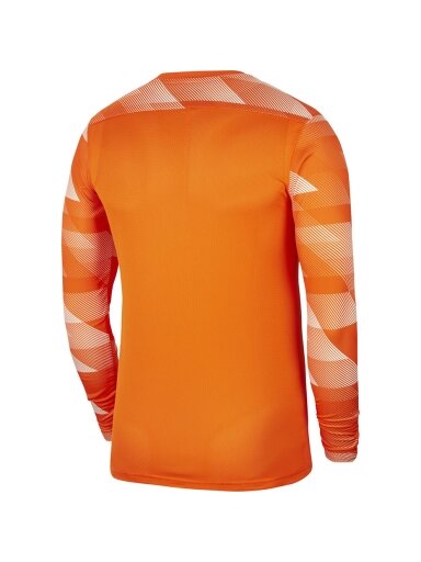 Nike Dry Park IV JSY LS GK vyriški vartininko džemperiai oranžiniai CJ6066 819