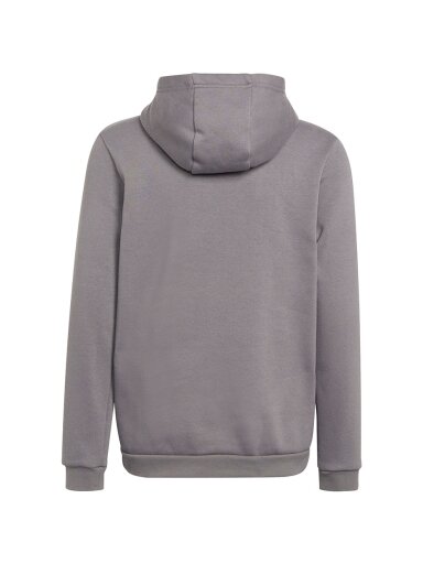 Adidas Entrada 22 Hoody vaikiški džemperiai, pilki H57515