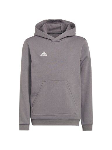 Adidas Entrada 22 Hoody vaikiški džemperiai, pilki H57515