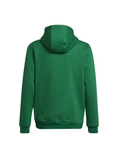 Adidas Entrada 22 Hoody vaikiškas džemperis, žalias HI2143