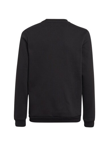 Adidas Entrada 22 Sweat Top vaikams, juoda H57474