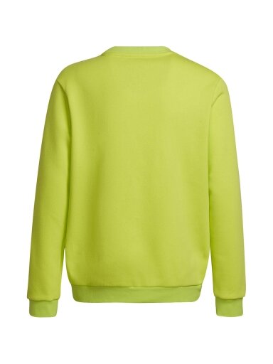 Džemperis vaikams adidas Entrada 22 Sweat Top lime HC5043