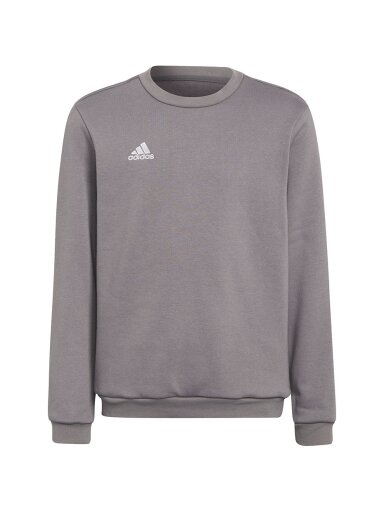 Adidas Entrada 22 Sweat Top vaikiški džemperiai, pilki H57477