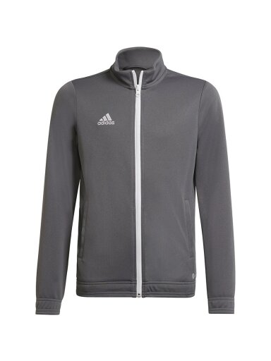 Adidas Entrada 22 Track Jacket vaikiškas džemperis, pilkas H57521