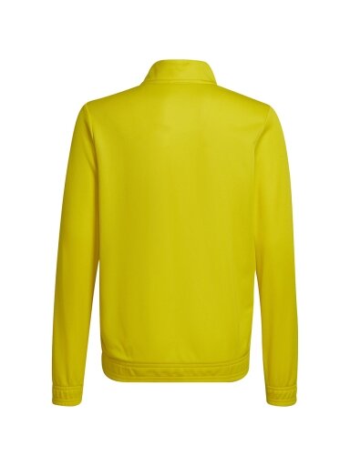 Adidas Entrada 22 Track Jacket vaikiškas striukė, geltonas HI2139